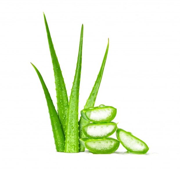 Aloe vera sa Men's Defence