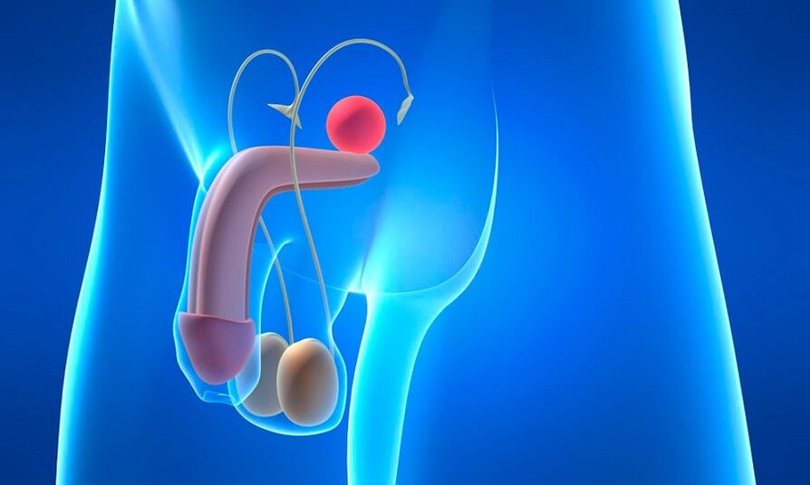 Edema ng prosteyt na may prostatitis