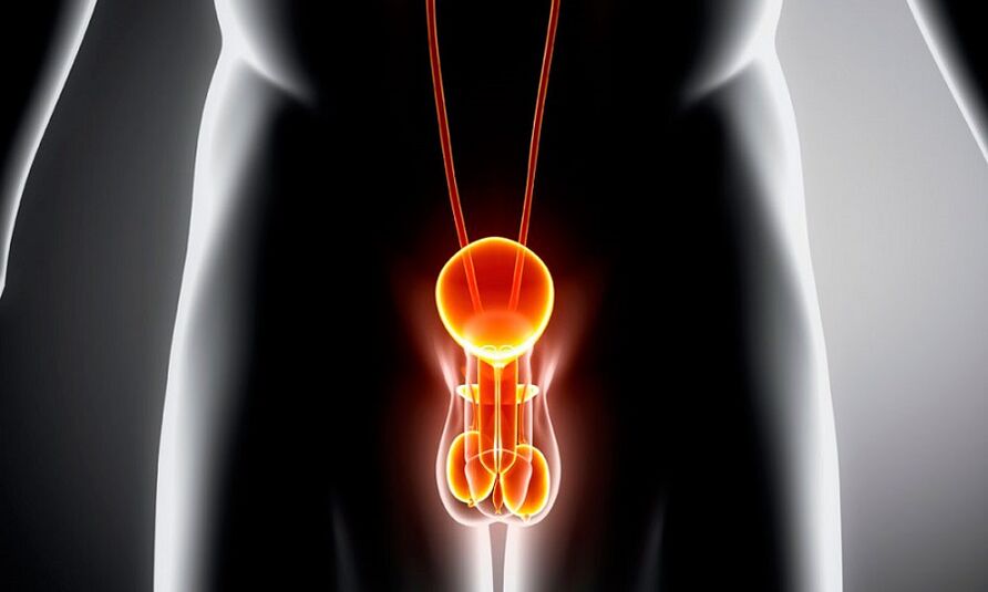 Inflamed genitourinary system para sa prostatitis